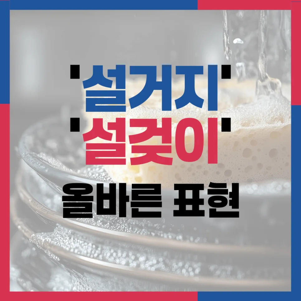 설거지 vs 설겆이: 2026년 표준어 규정 완벽 정리