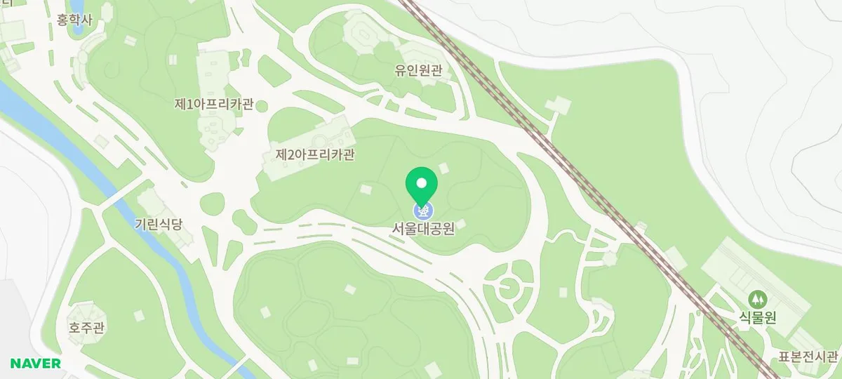 서울대공원 봄꽃축제 2026: 피터팬 테마 즐기는 방법 총정리