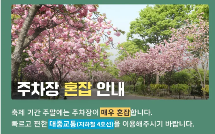 서울대공원 봄꽃축제 2026: 피터팬 테마 즐기는 방법 총정리 3