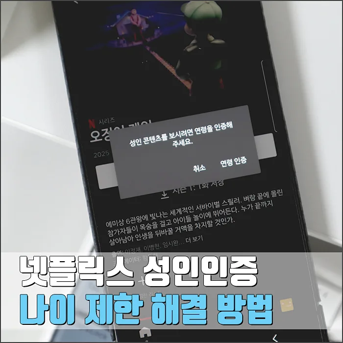 넷플릭스 성인인증 및 프로필 나이 제한 해제 방법 2026