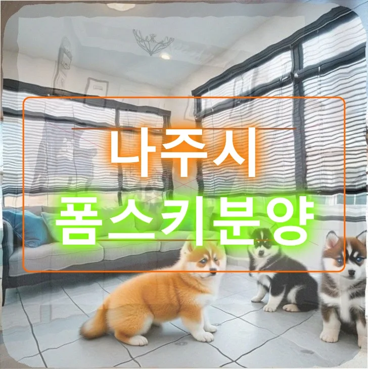 나주 폼스키 분양 250만원, 예상 못한 도전과 해결 과정 2026