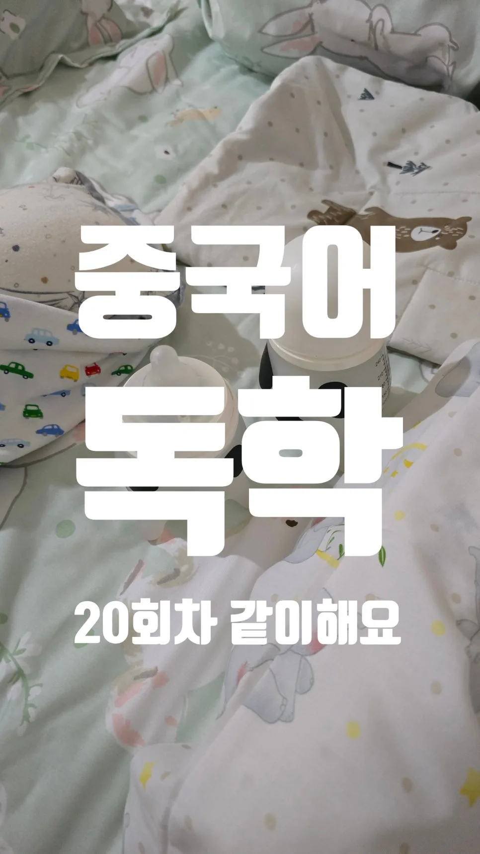 중국어 숫자 100까지 완벽 마스터 2026: 발음·쓰기·활용법 총정리