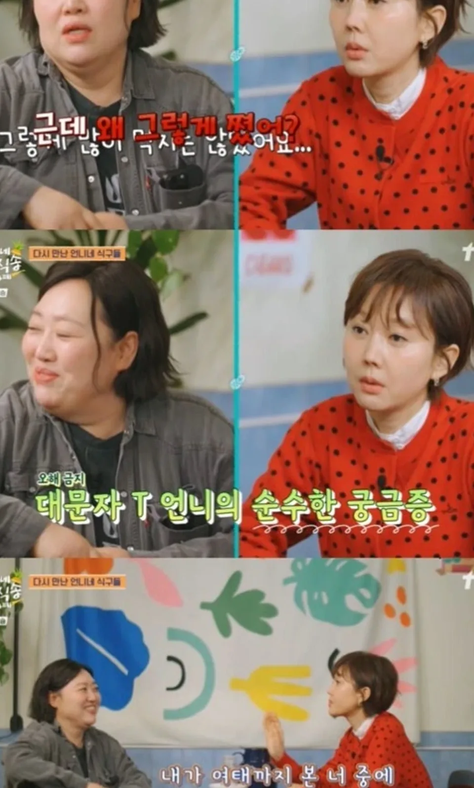 박준면 10kg 감량 비결과 보홀 생존기 2026년 총정리 2