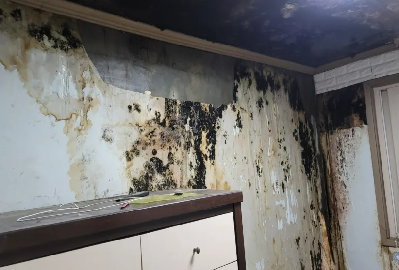 Homeowner's Insurance for Leaks: Get Paid for Repairs 2026