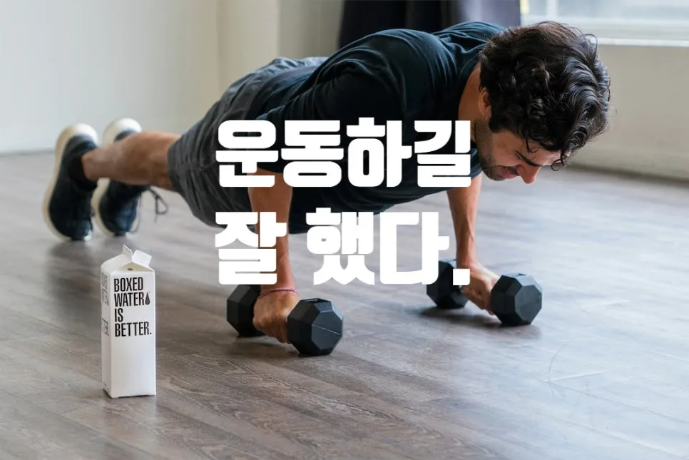 바디프로필 D-75 남자 체중 감량 성공 비결 2026
