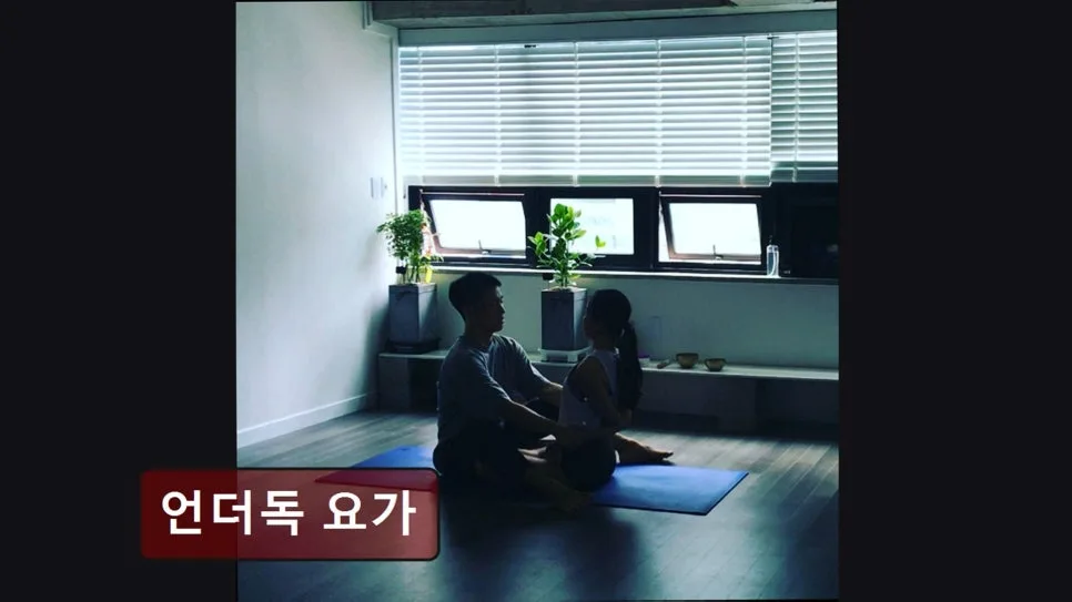 홍대 요가원 언더독 요가: 체계적 수업 & 깔끔한 시설 2026년 총정리