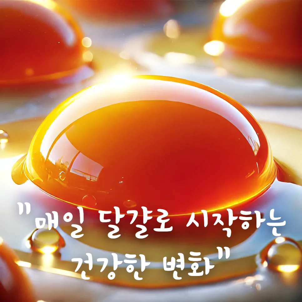 매일 달걀 섭취, 모발 탄력·체중 감량·뼈 건강 효과 2026년 총정리