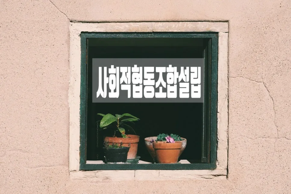 사회적협동조합 사업계획서 작성 가이드 2026: 인가 절차 완벽 분석