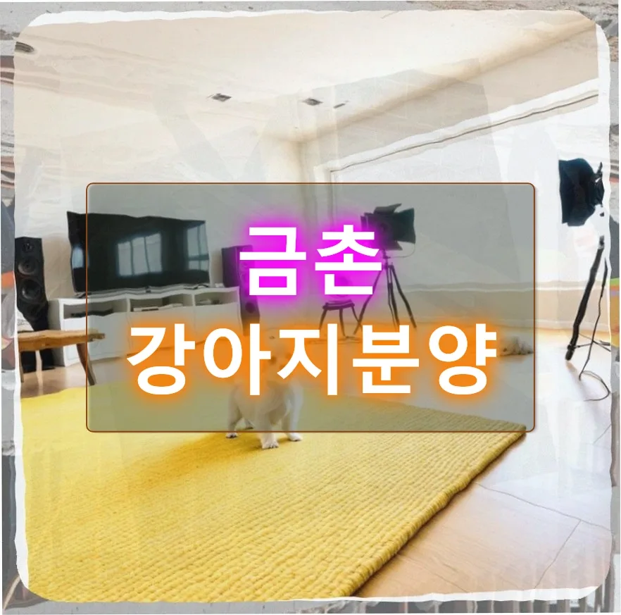 금촌 강아지분양 골든 리트리버 입양 후기 (2026년)