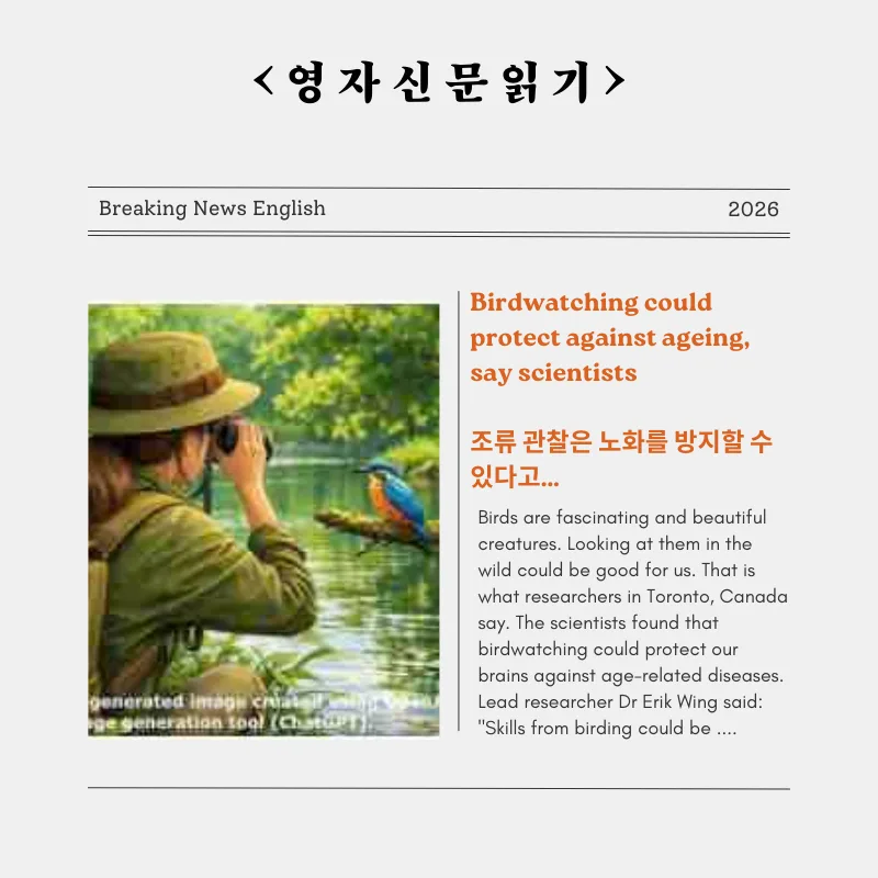 조류 관찰, 2026년 노화 방지 효과? 과학적 근거와 이점 총정리