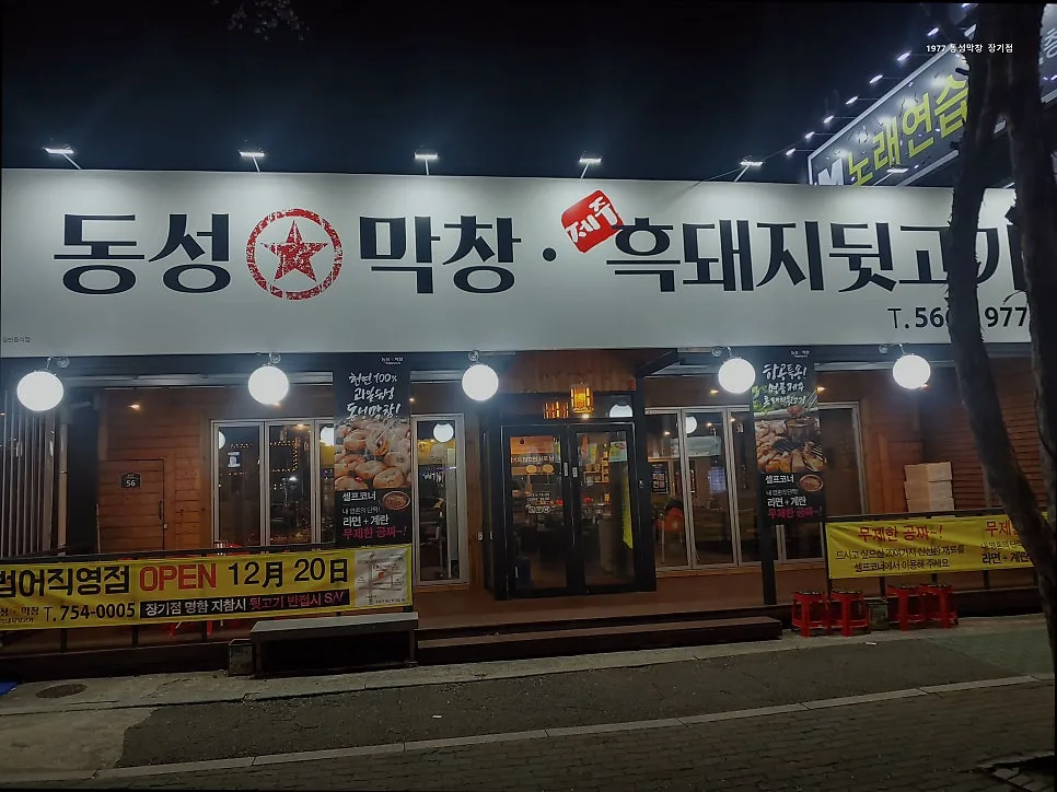 대구 막창 맛집 2026: 1977 동성막창 장기점 핵심 정보