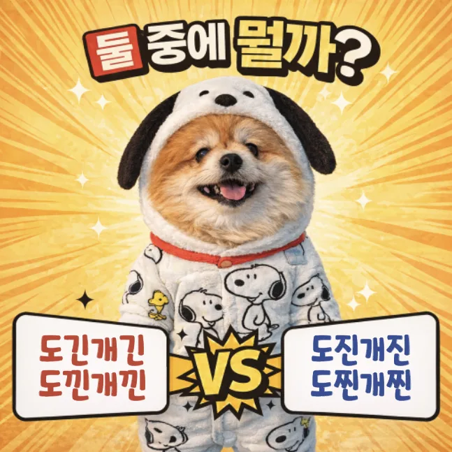 도긴개긴 vs 도진개진: 2026년, 헷갈리는 맞춤법 바로잡기