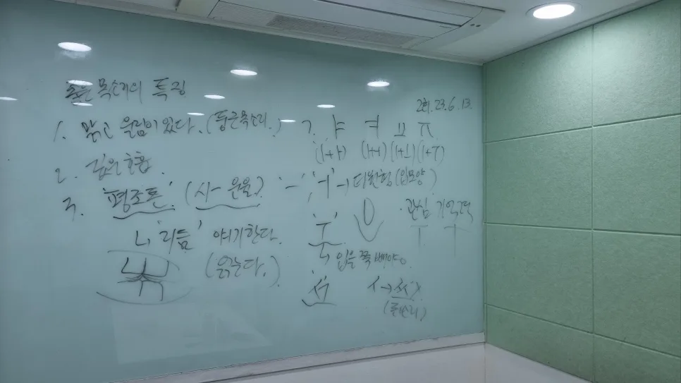 발표 불안 떨림 극복 2026: 부산 보이스 트레이닝 코치 솔루션