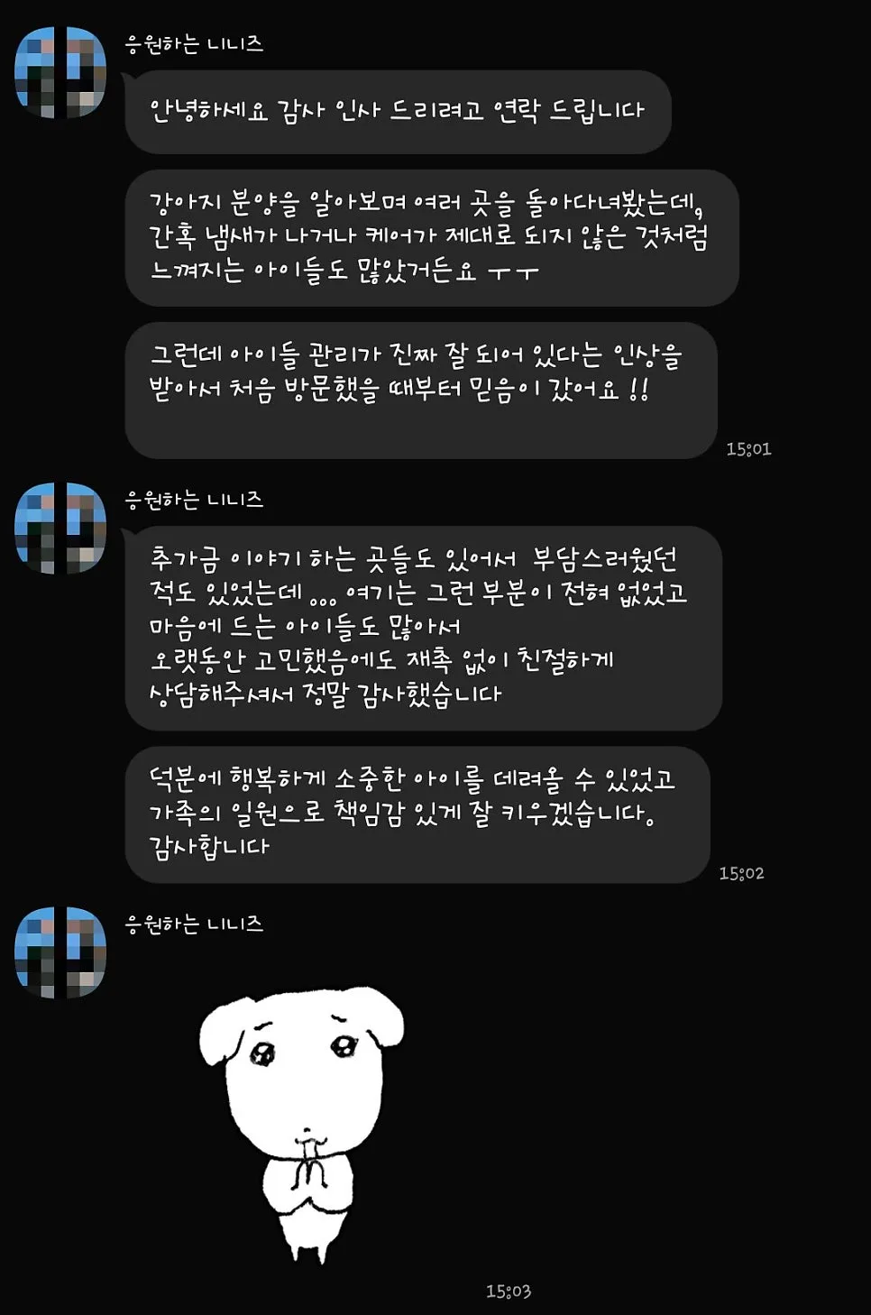 2026년 드림독 인천 강아지 분양 후기: 실제 보호자 경험담