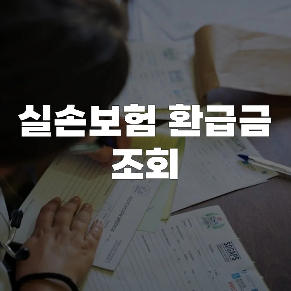실손보험 환급금 조회 방법 2026: 직접 확인한 절차 총정리