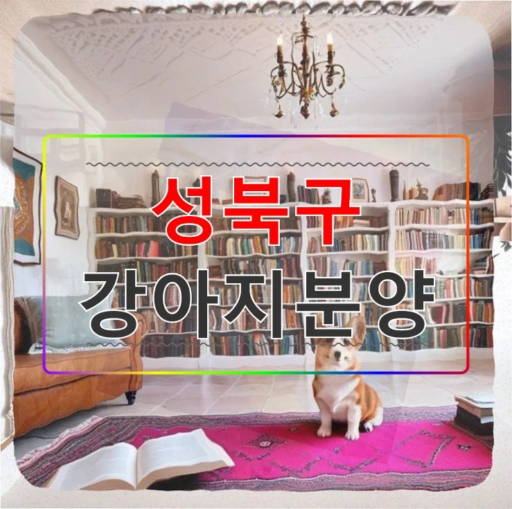 성북구 강아지분양 2026: 직장인 동행자 찾는 법 완벽 가이드