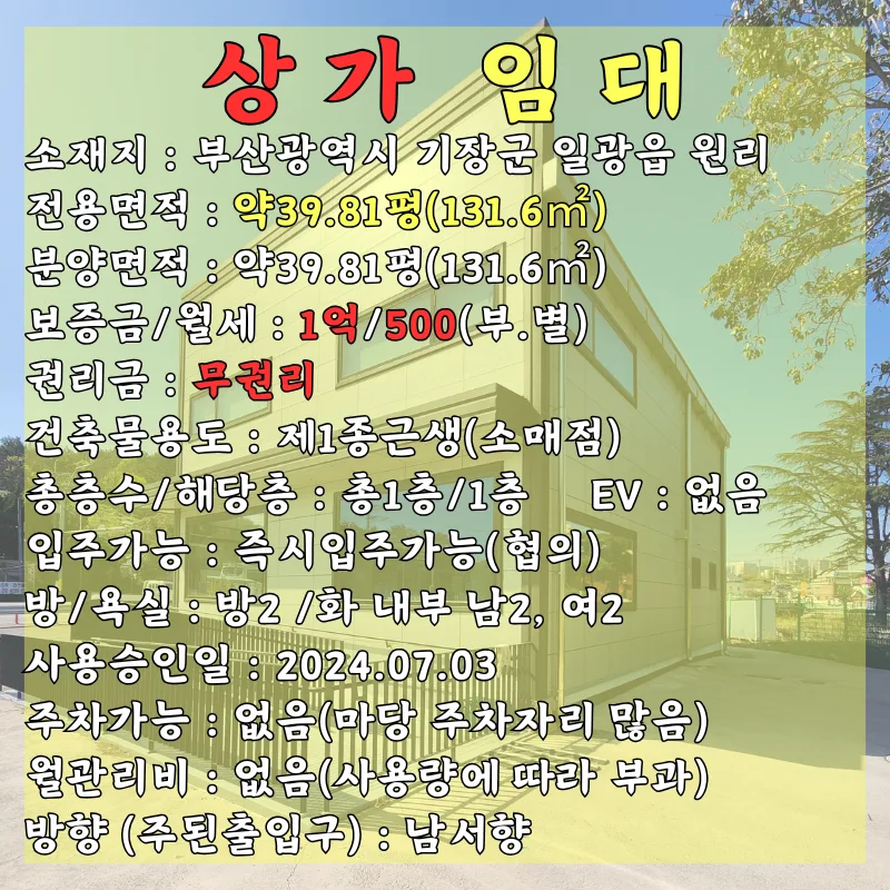 기장 좌천 상가 임대 2026: 1층 39평, 아울렛·병원 동선 길목 분석 2