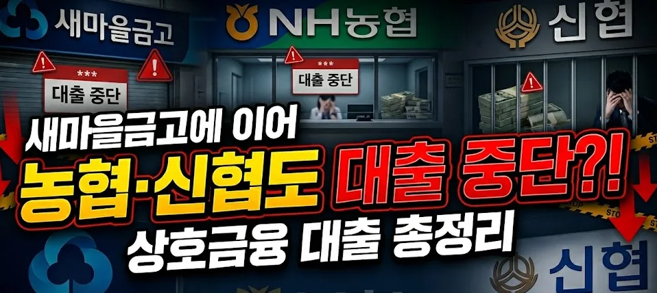 상호금융 대출 중단 2026: 농협·신협·새마을금고 현황 및 대안