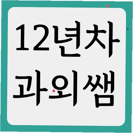매성고 내신 대비 국영수 과외: 공부법부터 성적 향상 전략 2026