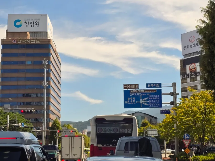 광주-남원 스타리아 2대, 12인 행사 지원 2026년 후기