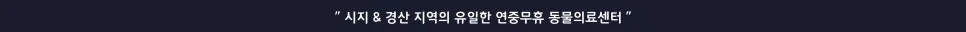 강아지 발작 원인 3가지와 탈수 교정 방법 2026