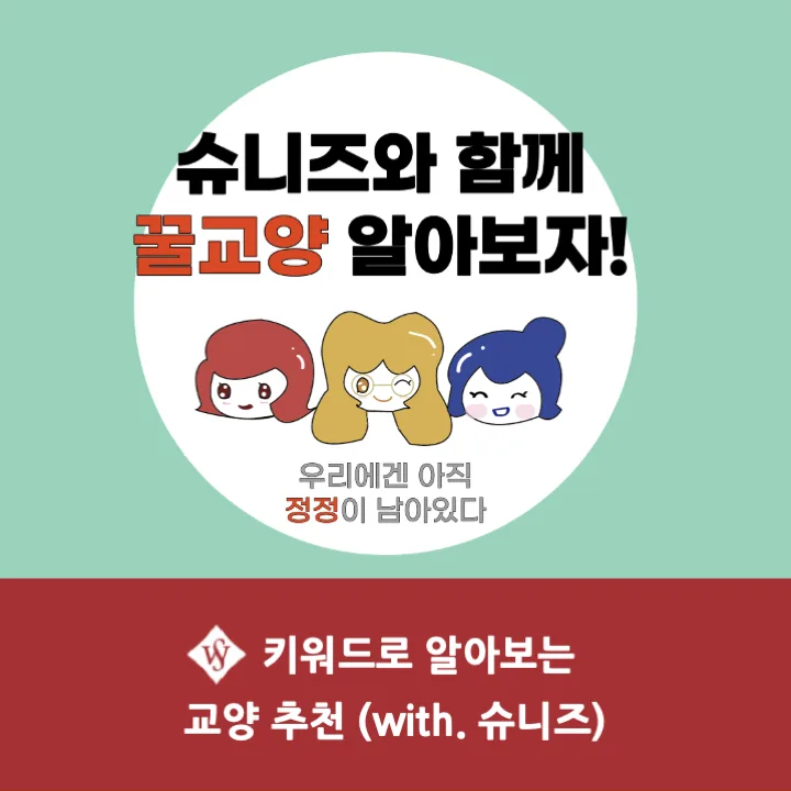 서울여대 교양 추천 2026: 슈니즈가 뽑은 인기 강좌