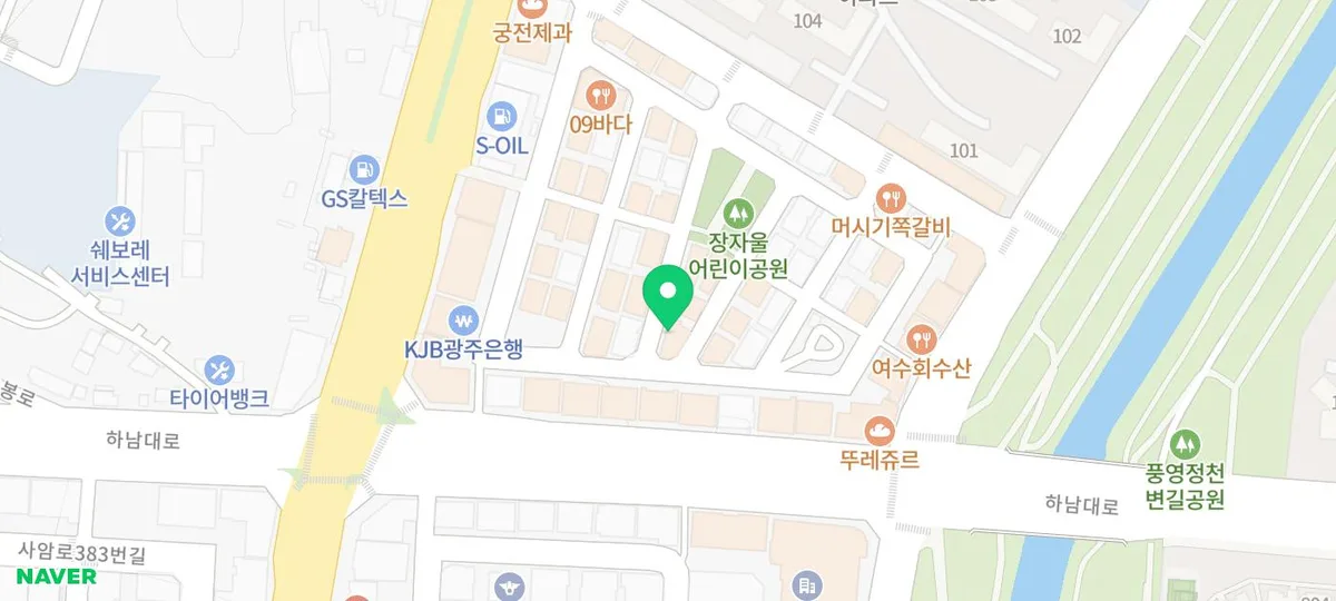 광주 강아지 분양, 미니비숑 입양 후기 2026