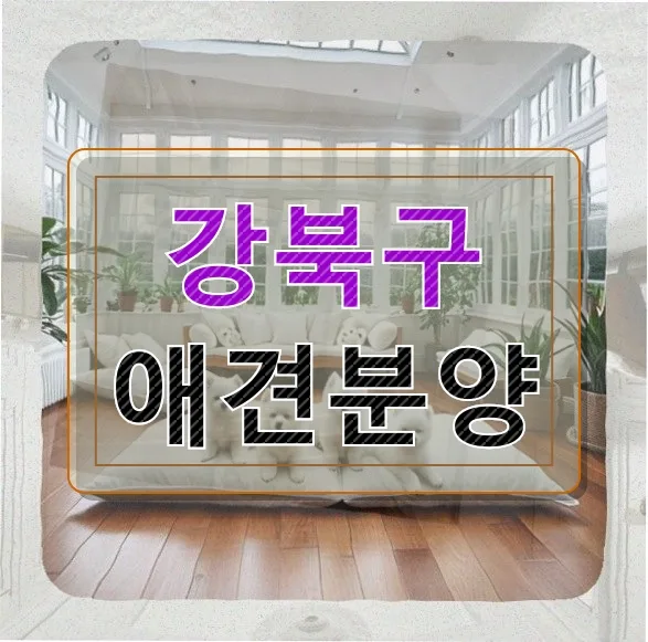 시바견 입양 후 한 달, 털빠짐부터 포도 사건까지 2026년 총정리