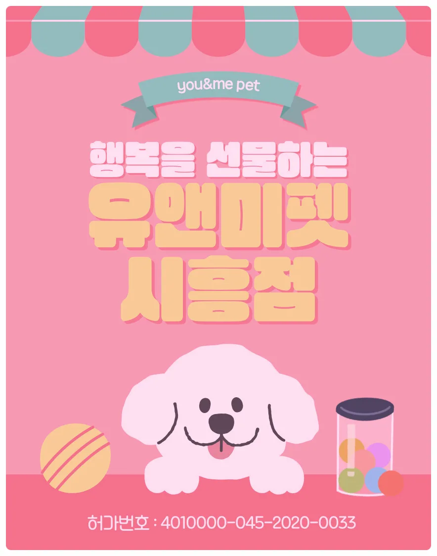 광주 말티즈 분양 2026: 유앤미펫 방문 후기 및 건강한 반려견 선택법