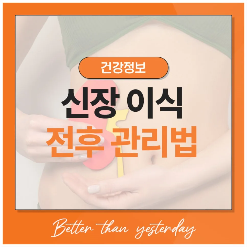 신장 이식 성공률 높이는 관리법 2026: 회복 기간 핵심 총정리