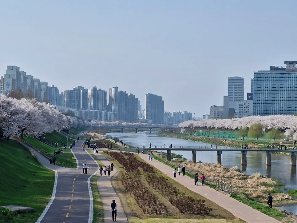 밤 문화 활발한 나라 7곳 비교 분석 (2026년 최신 정보)