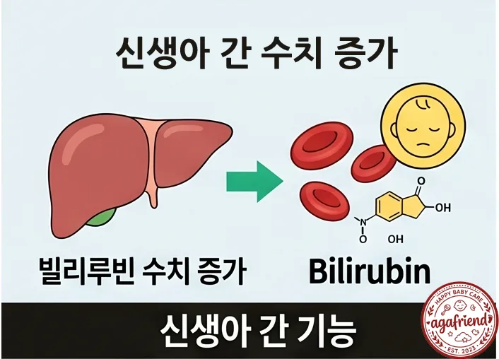 신생아 황달 태아보험 청구, 2026년 보장받는 방법 총정리