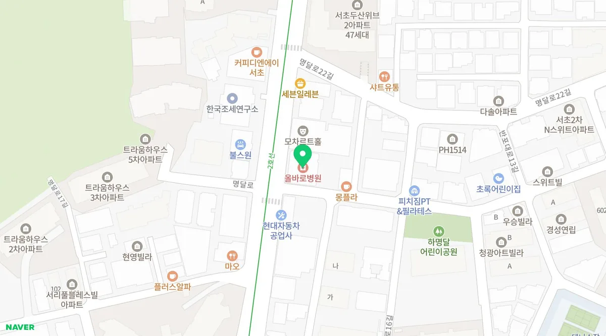 정형외과 병원비 절약 & 허리 건강 지키는 법 2026 2