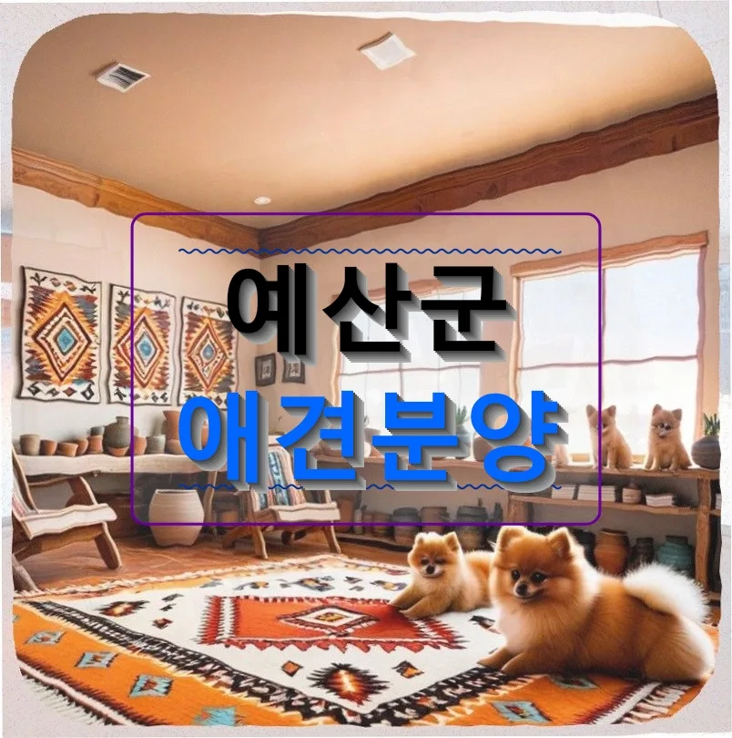 예산군 비숑프리제 분양, 첫 반려견 입양 후기 2026