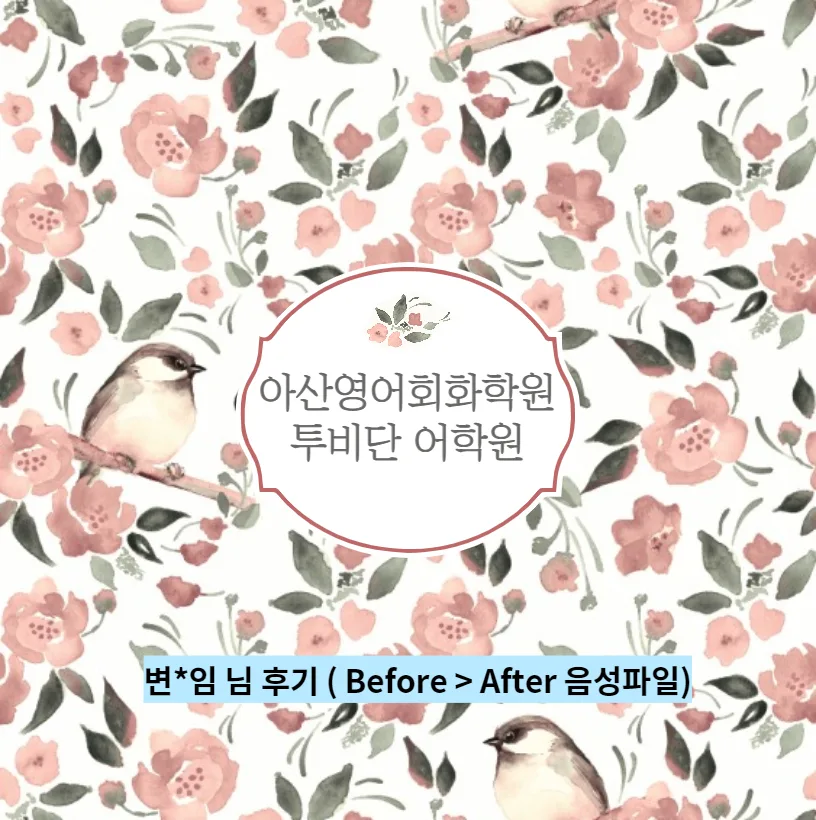 아산 영어회화 2026년 마스터: 투비단 어학원 수강생 후기 분석