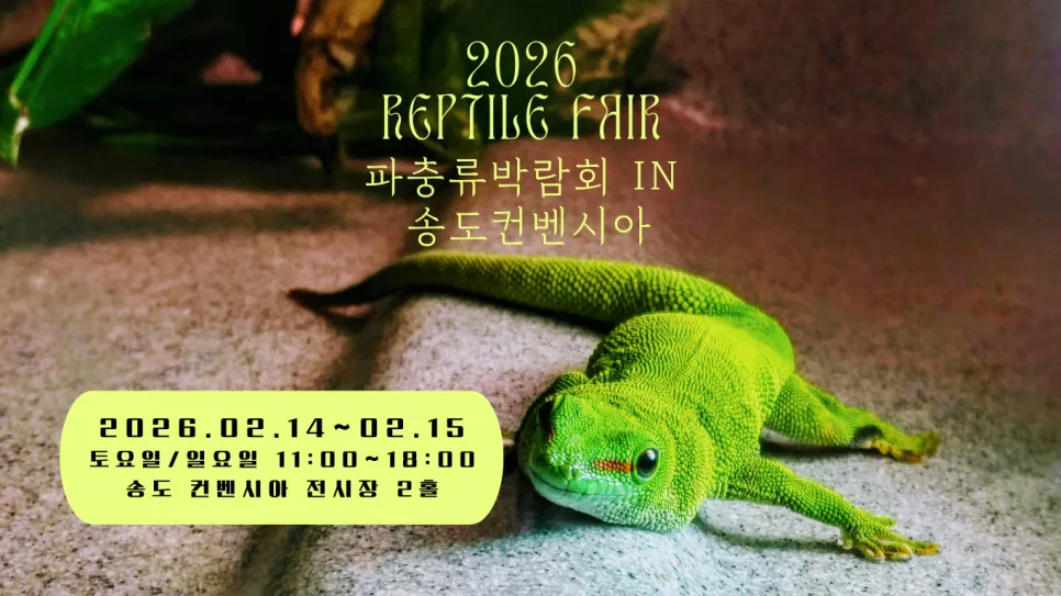 2026 송도 K렙타일페어: 파충류 박람회 일정, 입장권, 즐길 거리 완벽 가이드 3