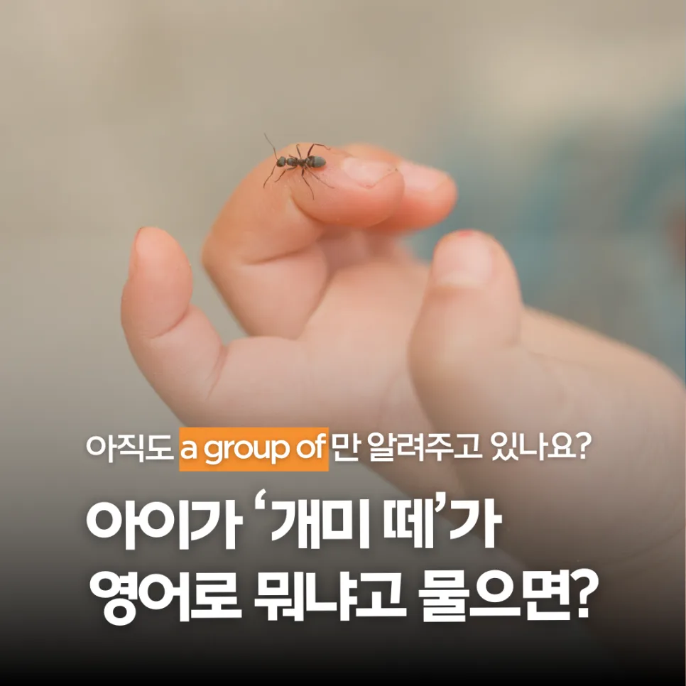 Animal Group English Phrases for Kids 2026: Teach Your Child