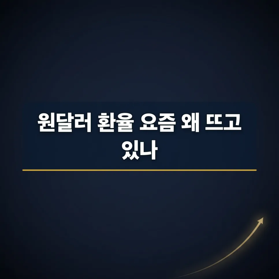 원달러 환율 급등 원인과 내 투자 영향 분석 2026