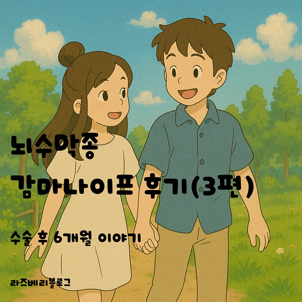 뇌수막종 감마나이프 6개월 후기: 손 저림, 두통, 구토 증상 완화 2026