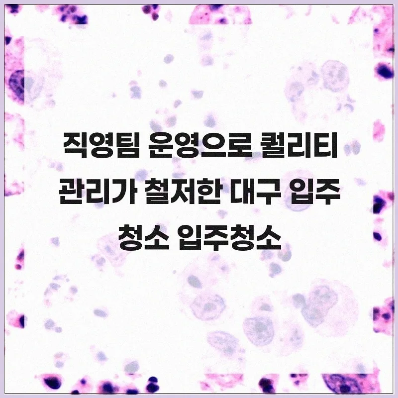 대구 입주청소 2026: 새집처럼 변신시킨 경험담과 꿀팁 2