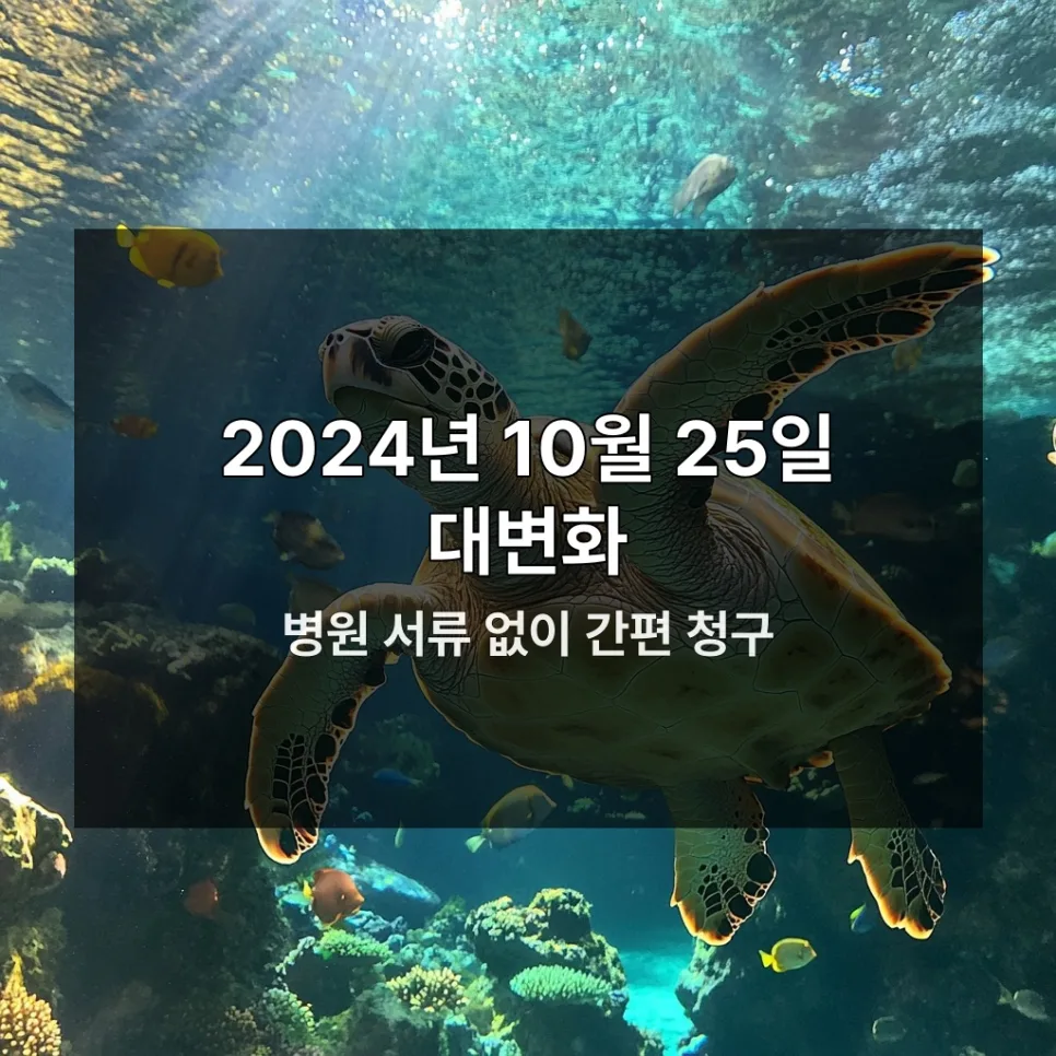 실손보험 청구 전산화 2024: 실손24 앱으로 10분 만에 끝내기