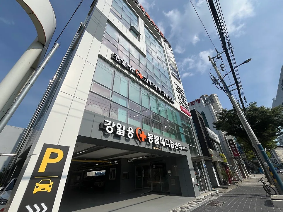 울산 강아지 초음파 잘 보는 곳 2026: 강일웅동물메디컬센터 검진 후기 2