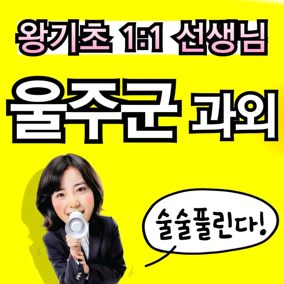 울주 영어과외, 기초부터 수능까지 실력 올리는 법 2026