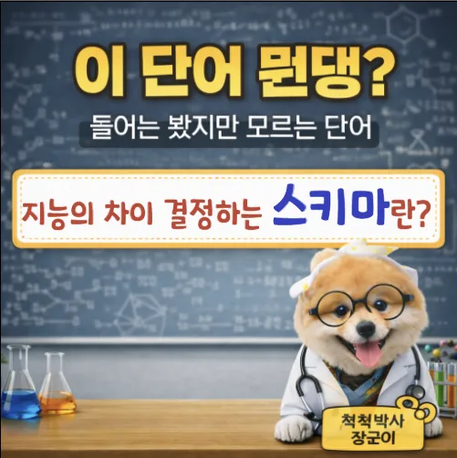 스키마 뜻과 활용법: 심리 vs IT, 2026년 지능 설계도 총정리