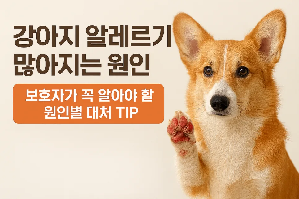 강아지 알레르기 급증 원인과 해결책 2026년 총정리