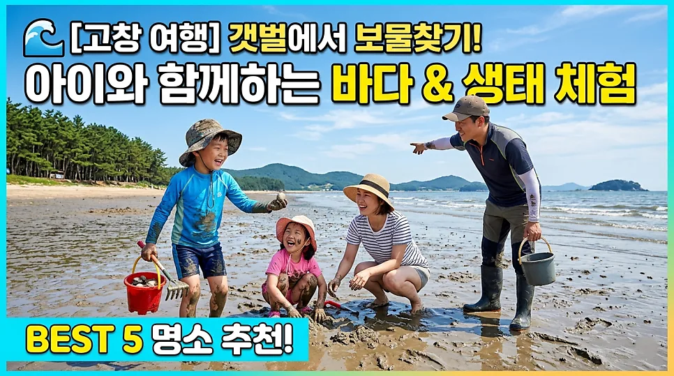 고창 갯벌 체험 2026: 아이와 함께하는 바다 여행 BEST 4