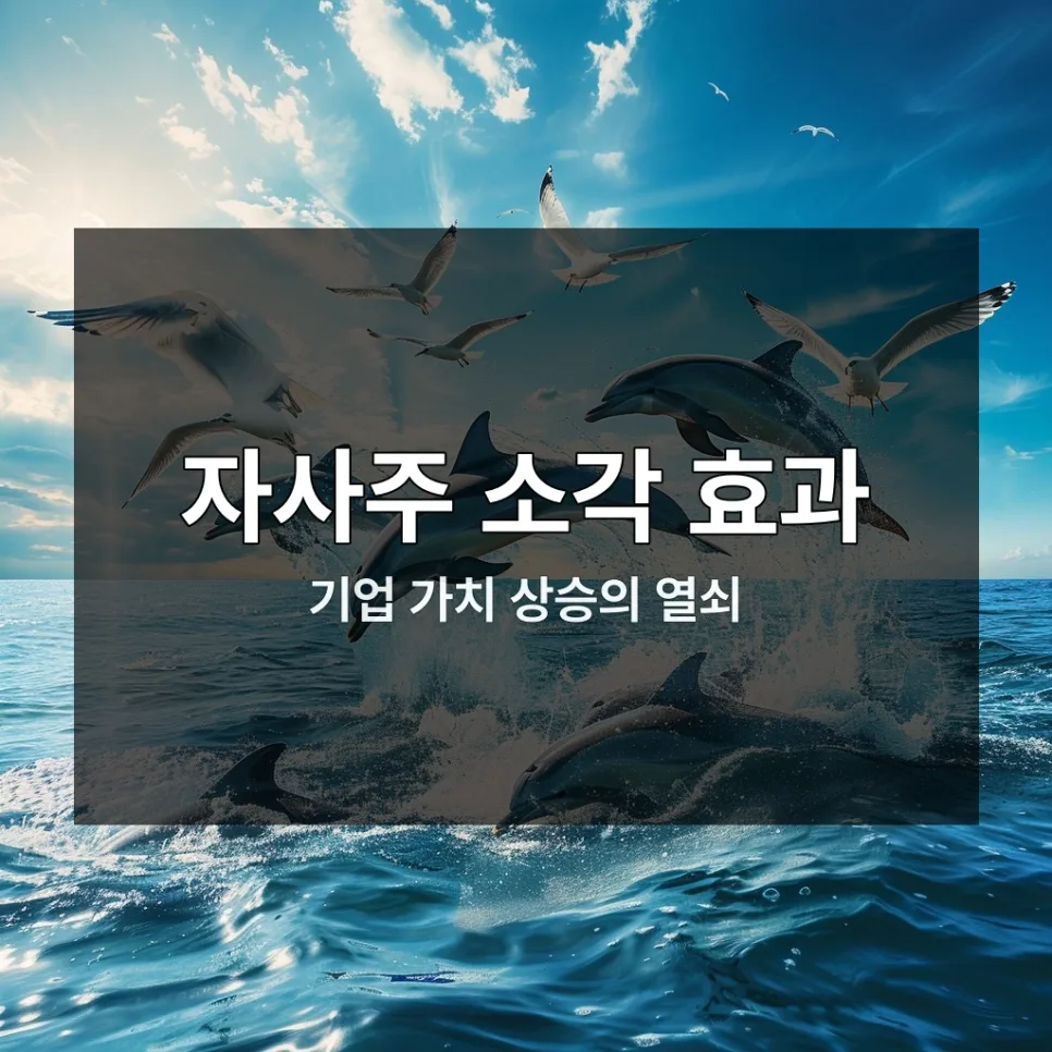 자사주 소각 대장주 2026년 투자 전략: 실제 경험자가 분석한 핵심