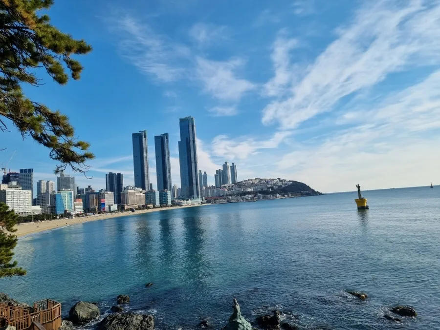 기형도 시 '종이달' 핵심 분석: 불안한 시대, 욕망의 허상 2026
