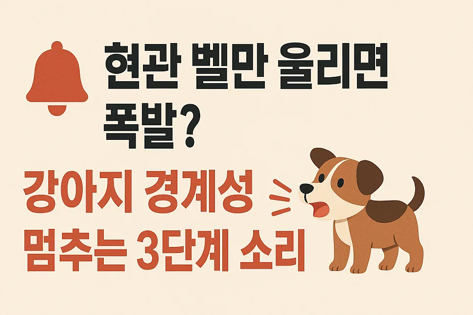 강아지 경계성 짖음 멈추는 3단계 훈련법 (2026년 최신)