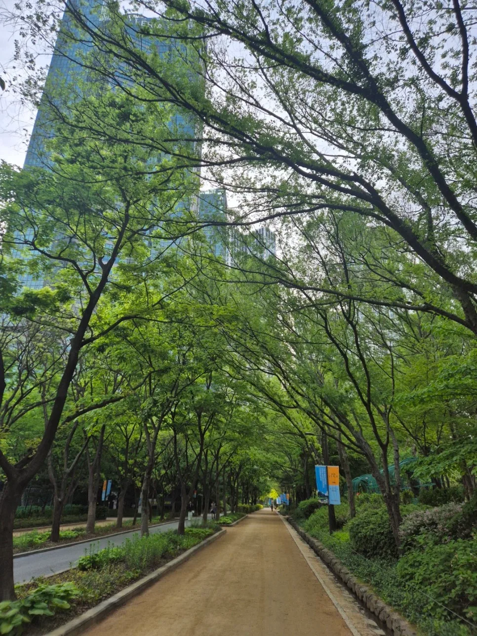 DB태아보험 2026년 가입 후기: 산모특약 & 사은품 꿀팁 총정리